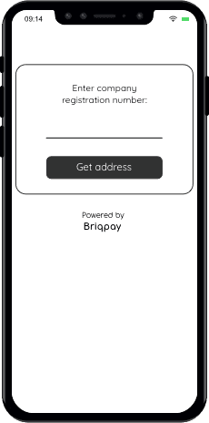 Briqpay-signup-1