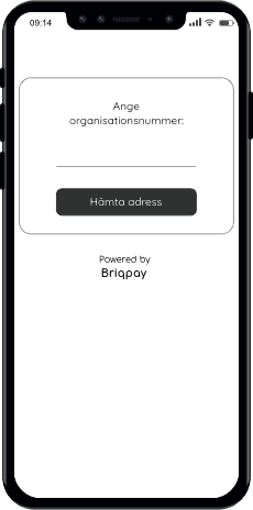 briqpay-signup-1