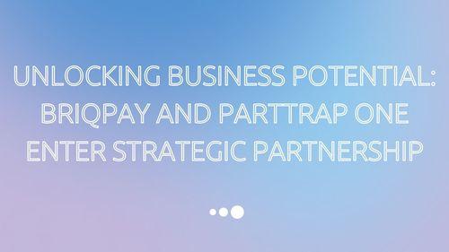 Parttrap-Briqpay